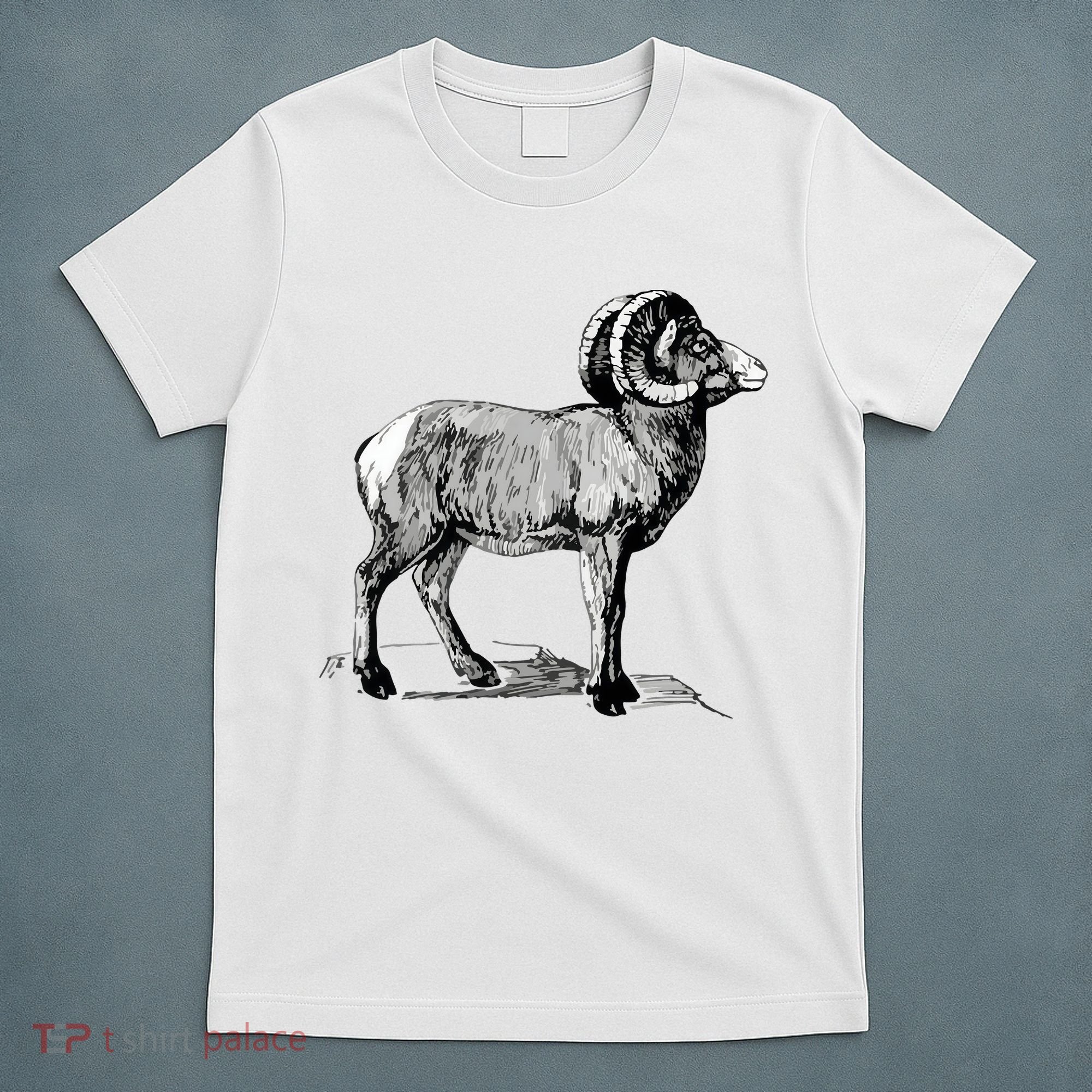 Mountain Goat Mountain Sheep T-Shirt