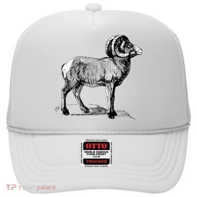 Mountain Goat Mountain Sheep Hat