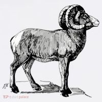 Mountain Goat Mountain Sheep Tank Top thumb 6