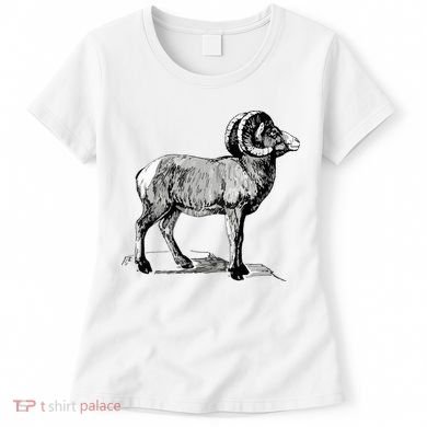 Mountain Goat Mountain Sheep Women's T-Shirt
