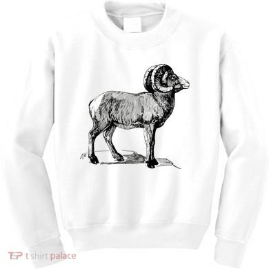 Mountain Goat Mountain Sheep Kids Sweatshirt