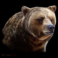 Majestic Grizzly Toddler Hoodie thumb 2
