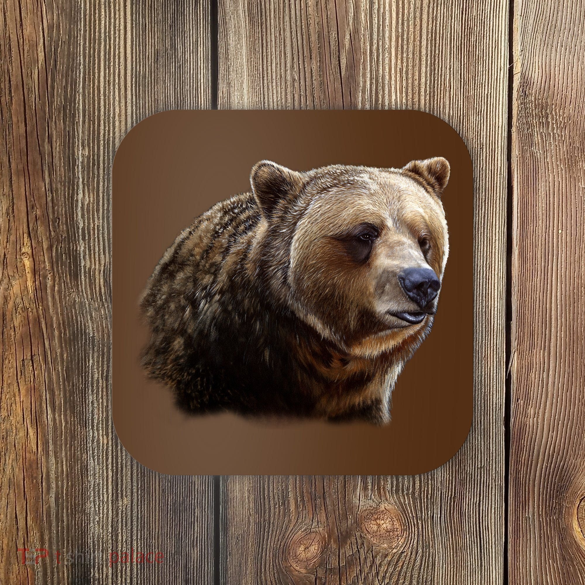 Majestic Grizzly Coaster