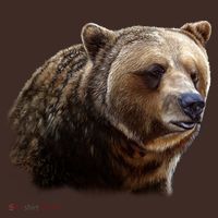 Majestic Grizzly Baby Bodysuit thumb 2