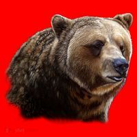 Majestic Grizzly Santa Hat thumb 1