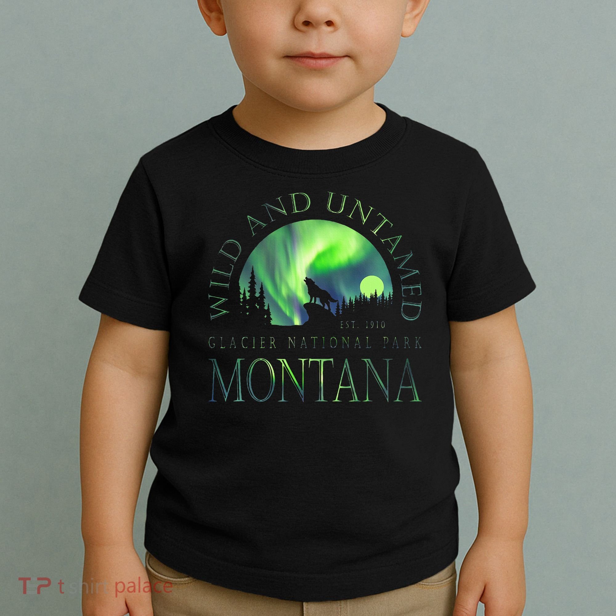Montana Glacier National Park Northern Lights Toddler T-Shirt