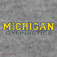 Michigan Gymnastics Tumbling Gear Gymnast Dance Toddler Hoodie thumb 2