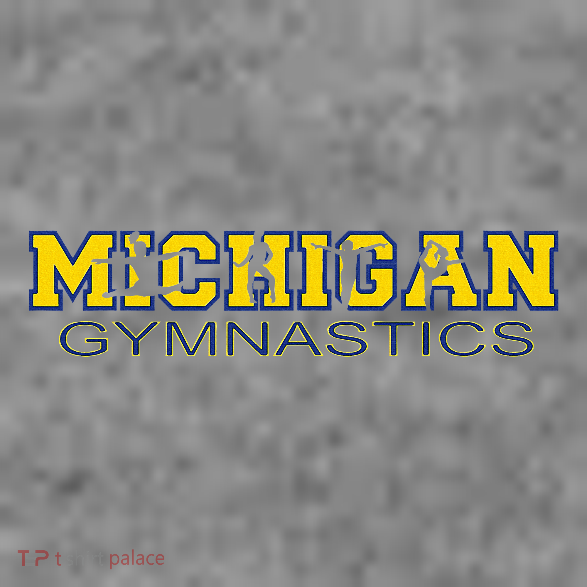 Michigan Gymnastics Tumbling Gear Gymnast Dance Toddler Hoodie