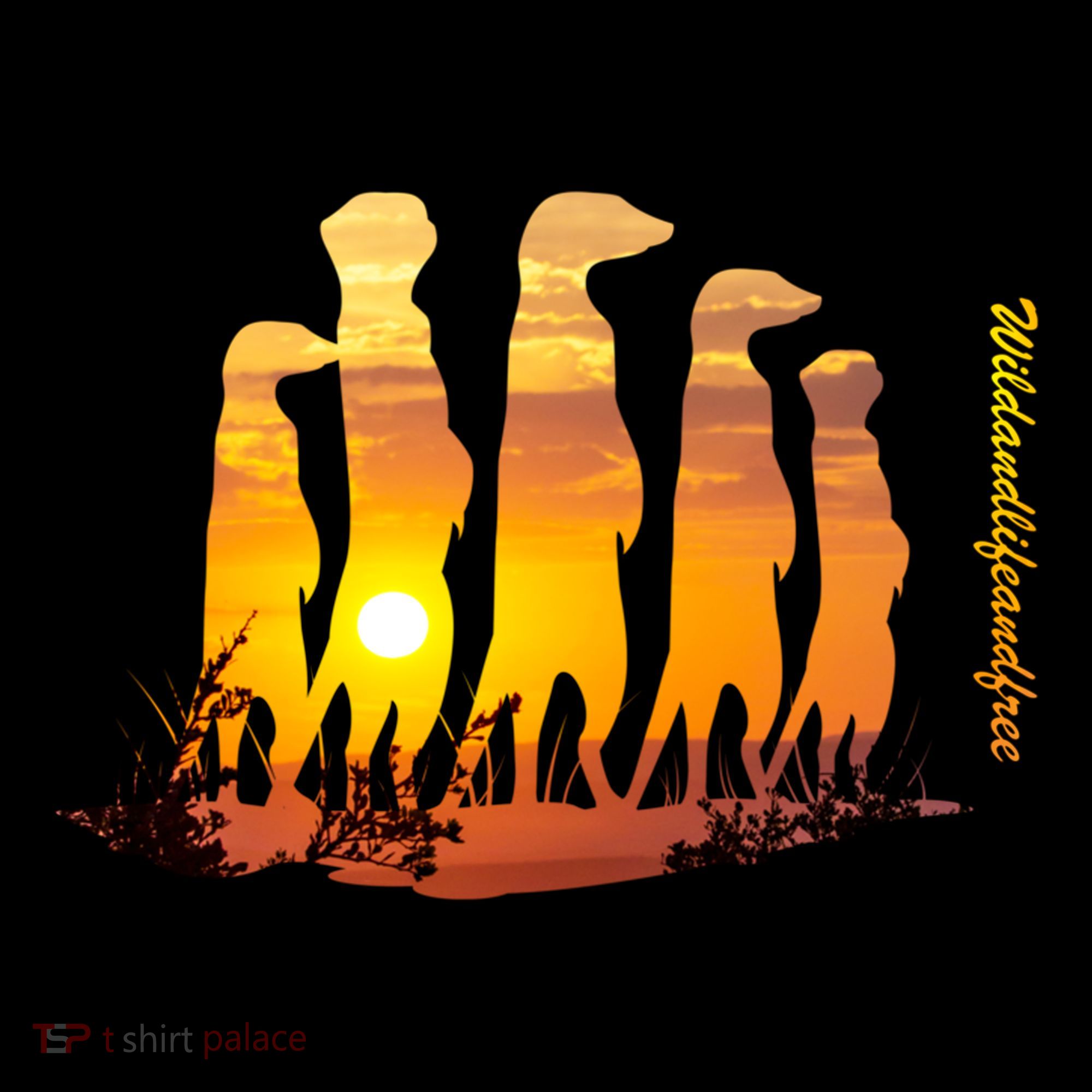 Meerkat Group With Sunset Wildlife Meerkat Cute Gift Coffee Mug