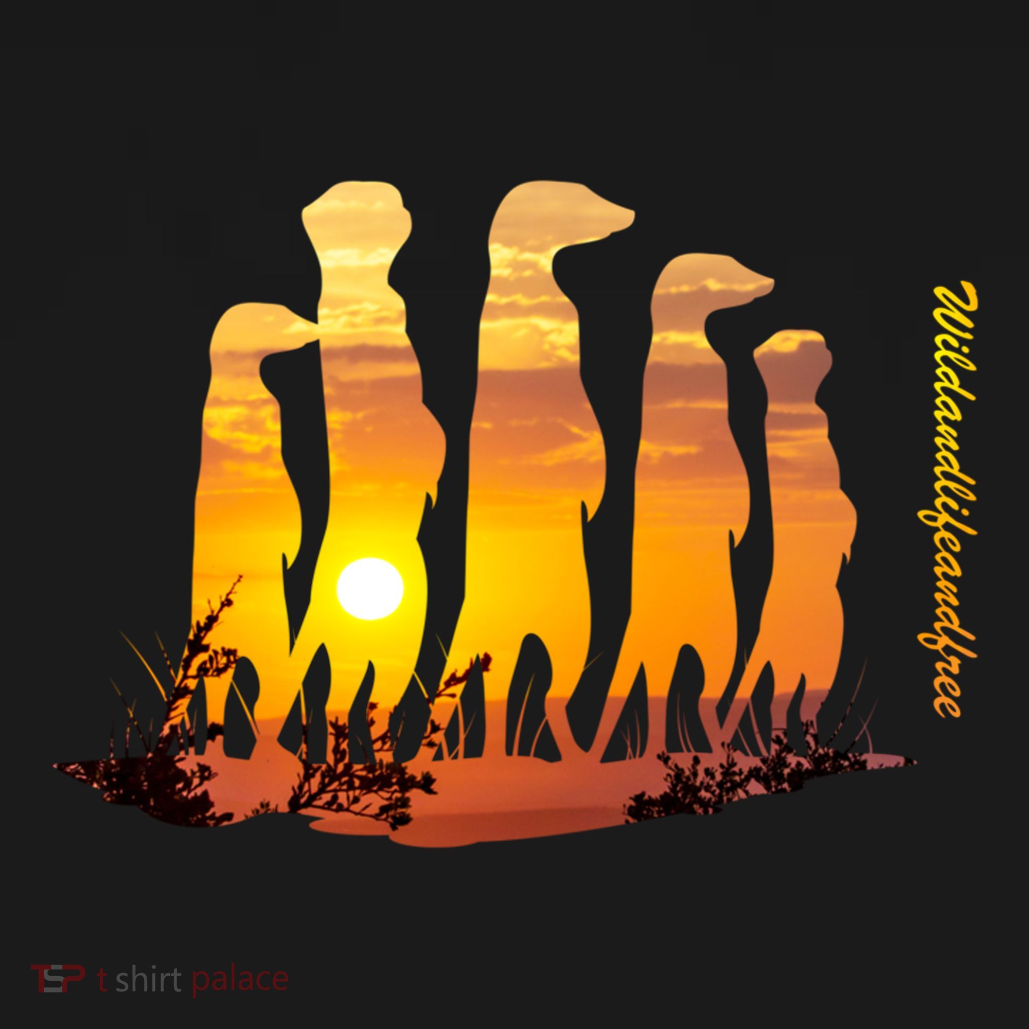 Meerkat Group With Sunset Wildlife Meerkat Cute Gift Women's Hoodie