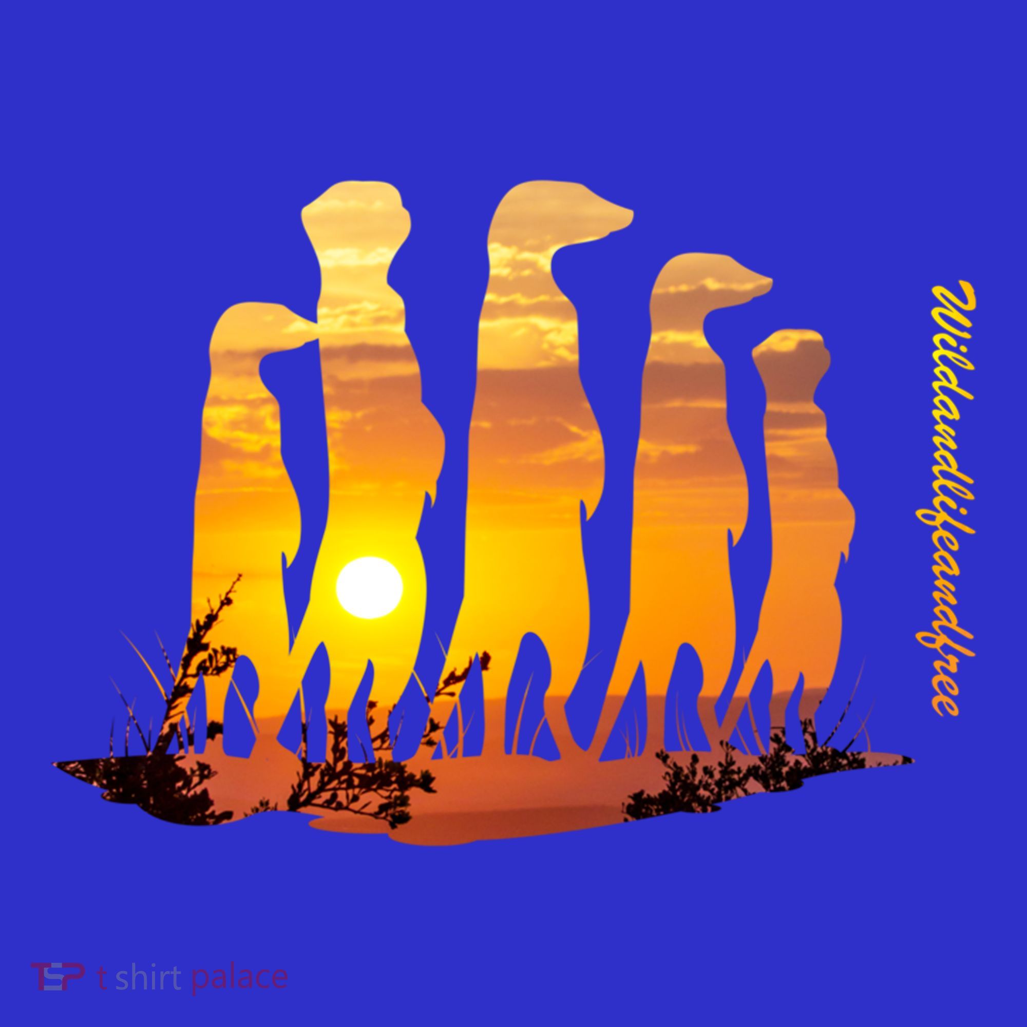 Meerkat Group With Sunset Wildlife Meerkat Cute Gift Sweatshirt