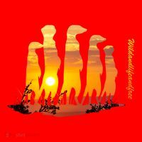 Meerkat Group With Sunset Wildlife Meerkat Cute Gift Santa Hat thumb 1