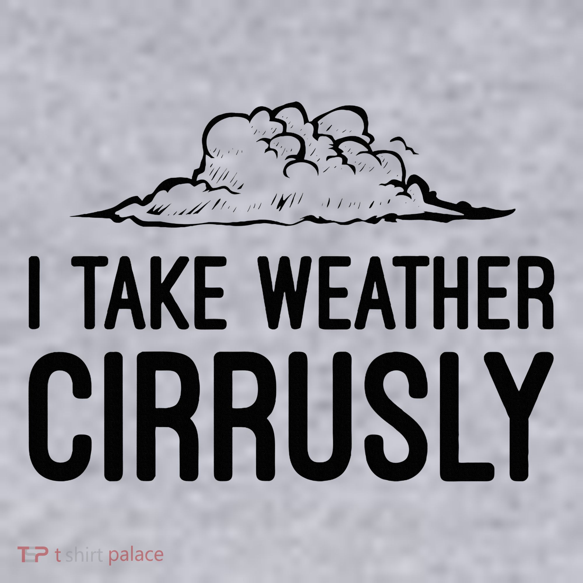 Meteorologist Gift Weather Meteorology Women's Sweatshirt