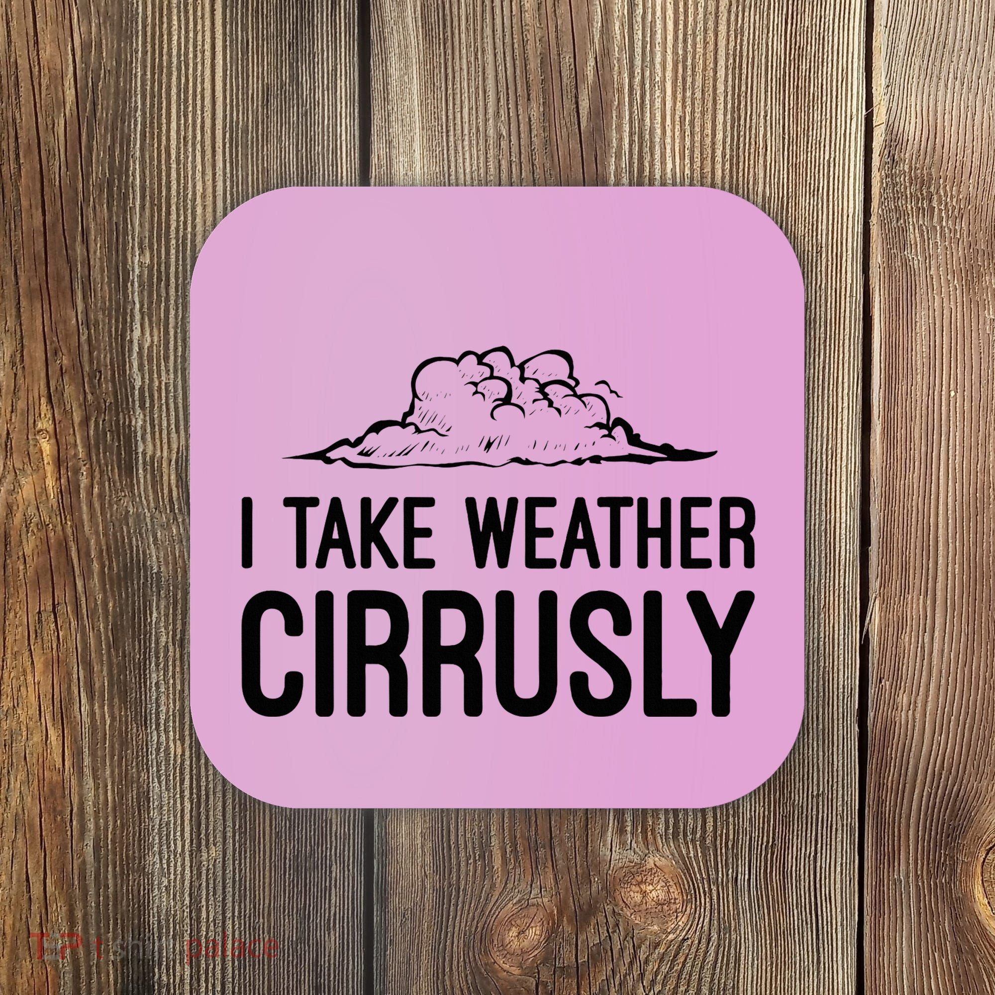 Meteorologist Gift Weather Meteorology Coaster