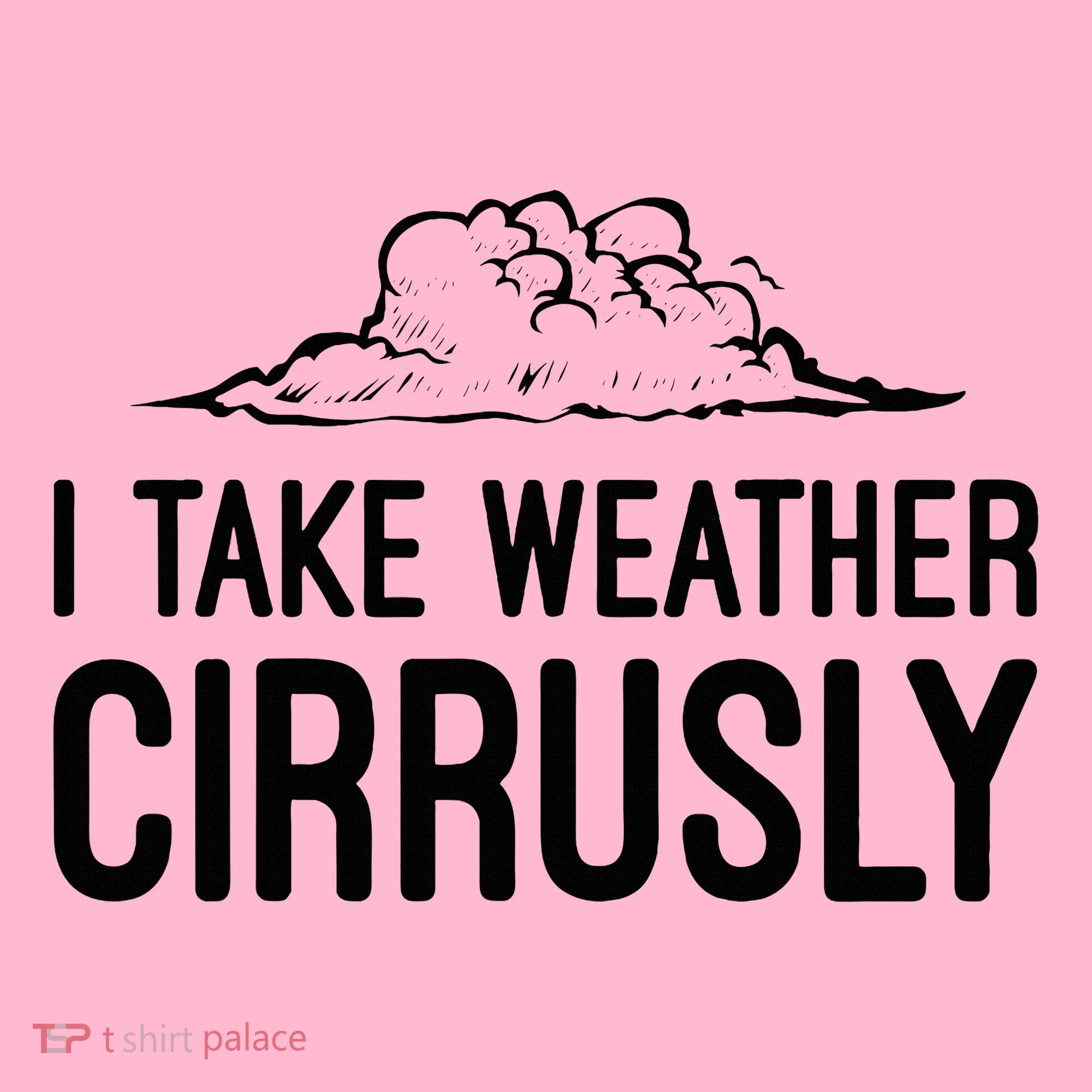 Meteorologist Gift Weather Meteorology Coaster