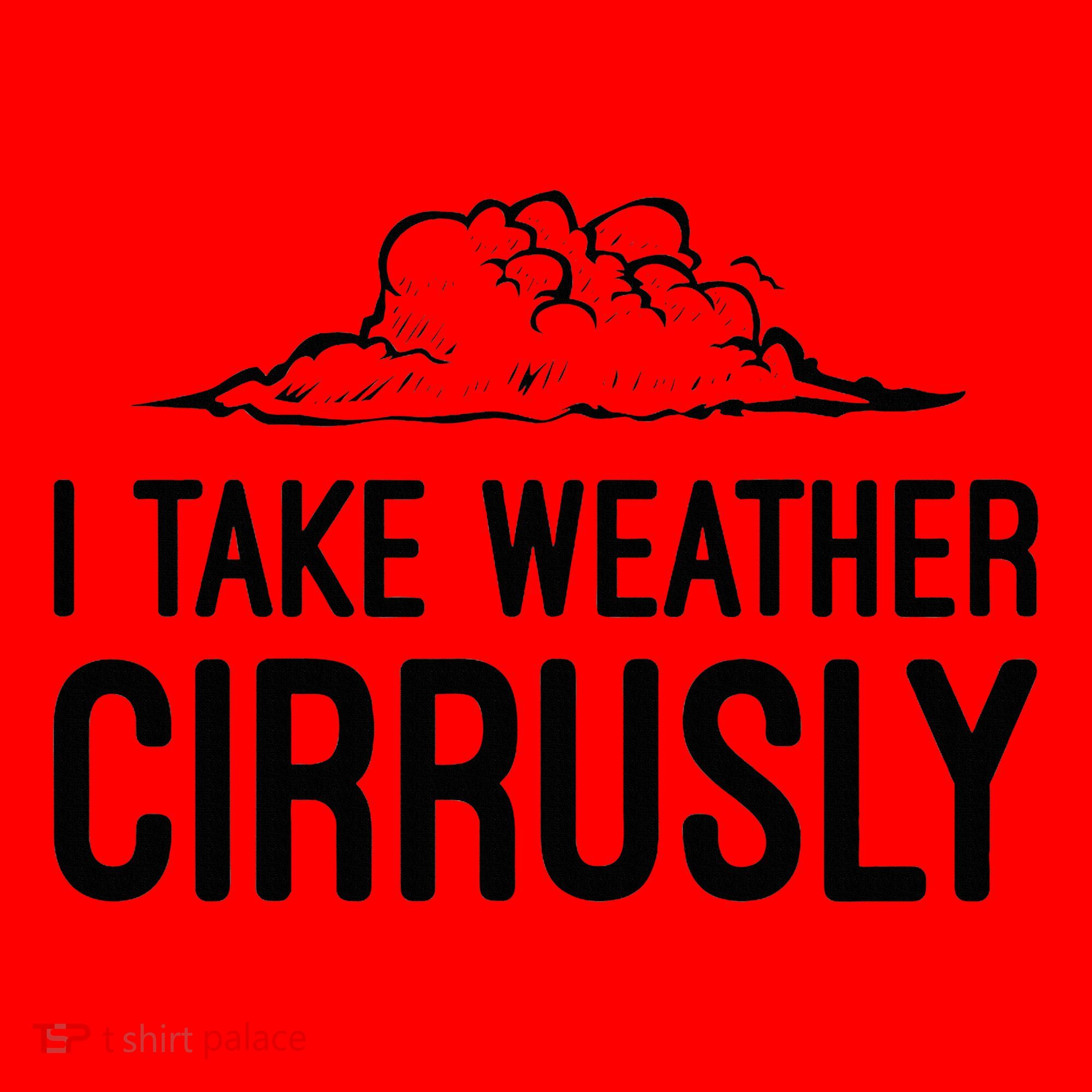Meteorologist Gift Weather Meteorology Santa Hat