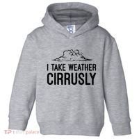 Meteorologist Gift Weather Meteorology Toddler Hoodie thumb 0