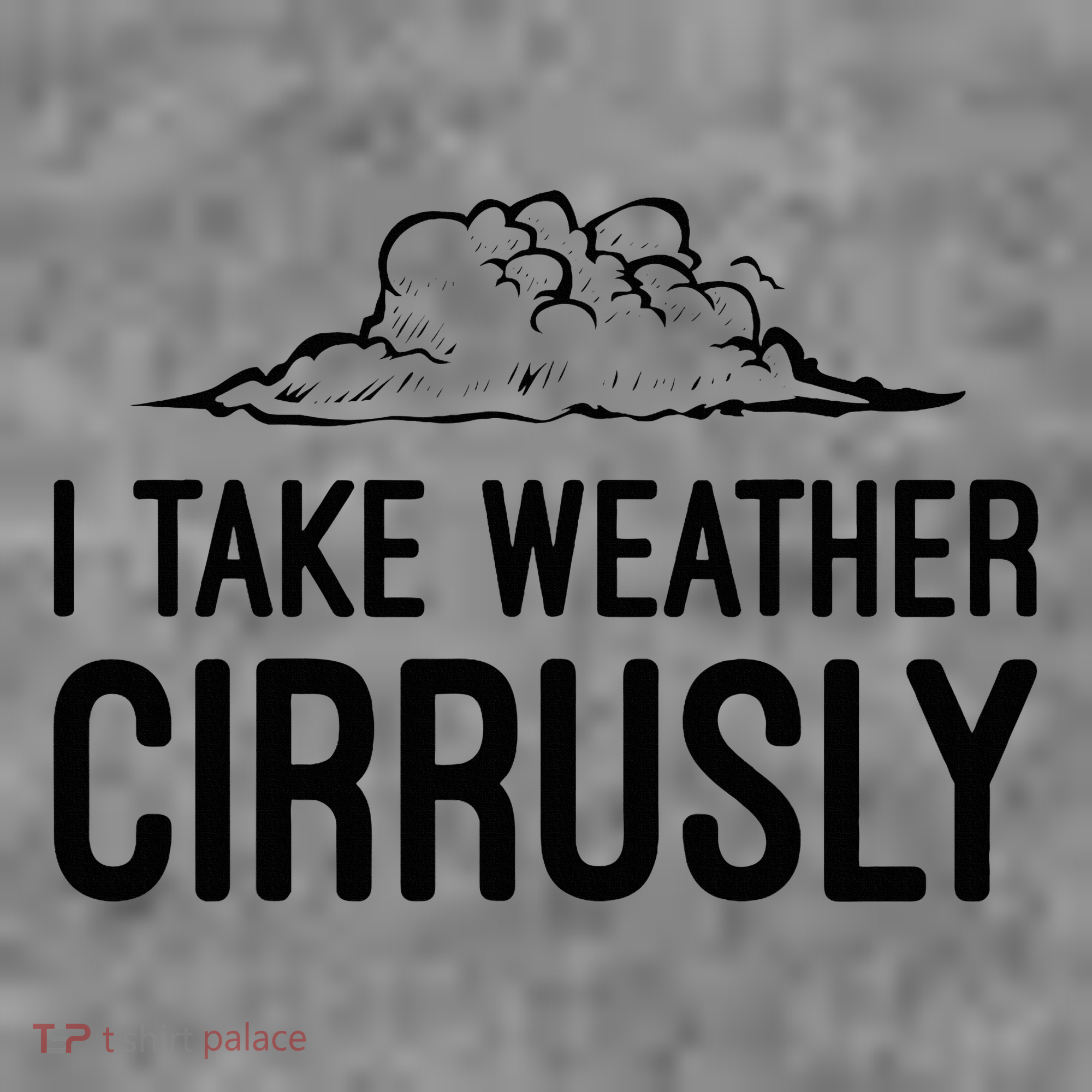 Meteorologist Gift Weather Meteorology Toddler Hoodie