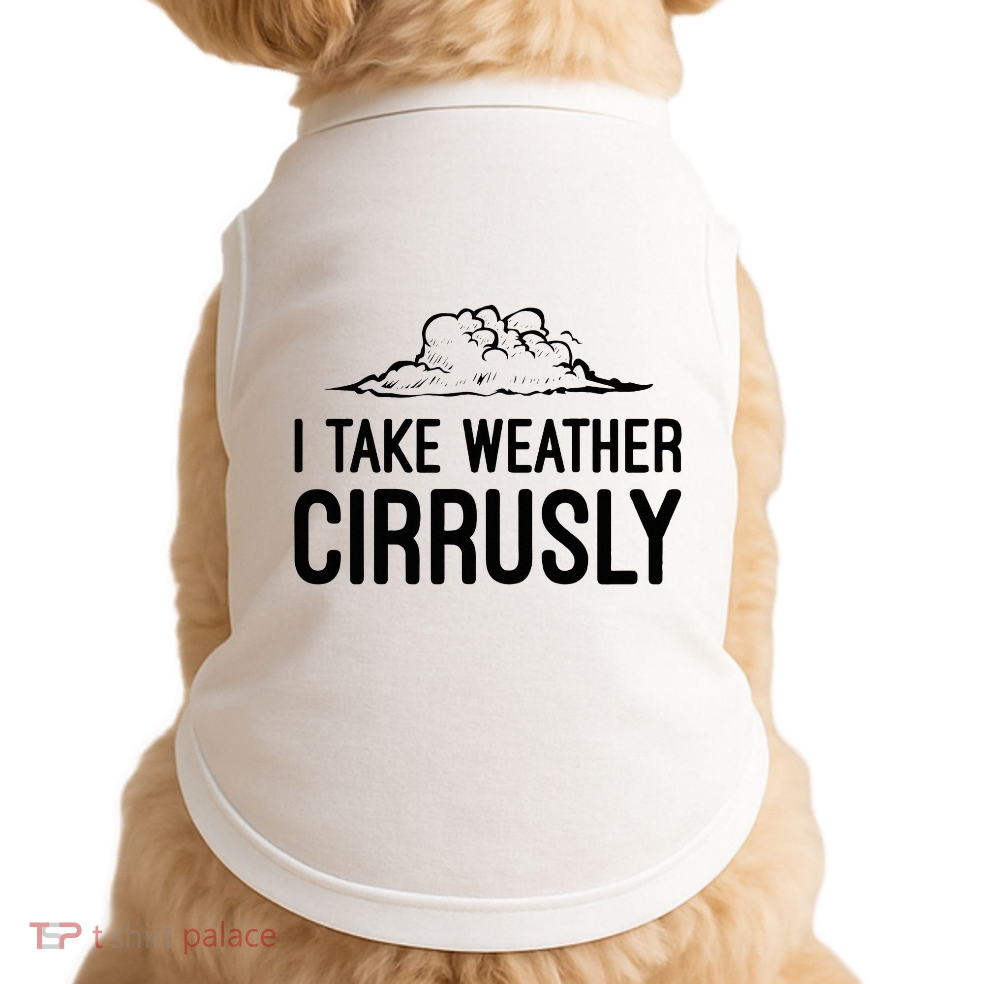Meteorologist Gift Weather Meteorology Doggie Tank