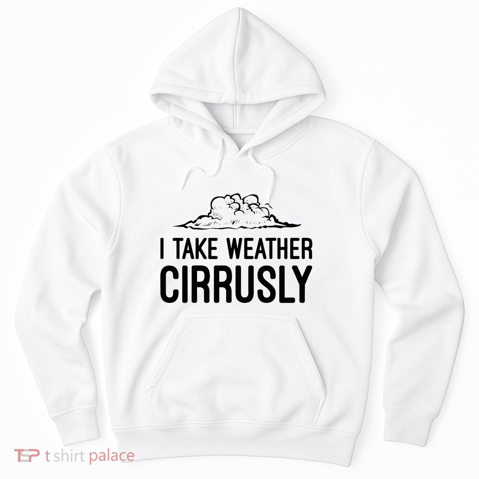 Meteorologist Gift Weather Meteorology Hoodie