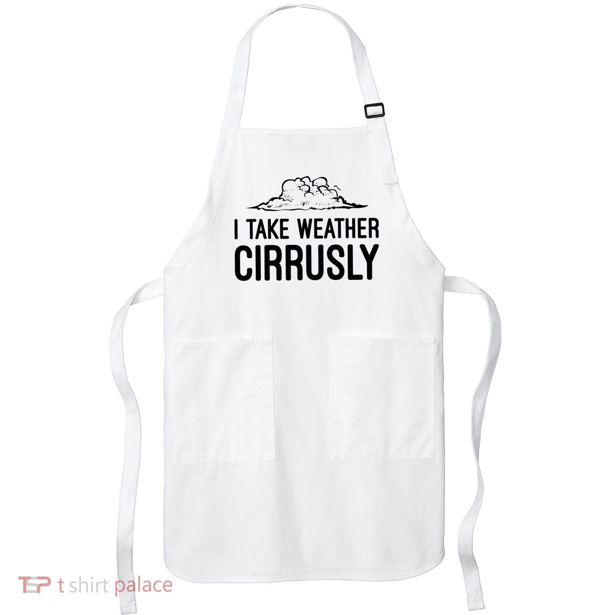 Meteorologist Gift Weather Meteorology Apron