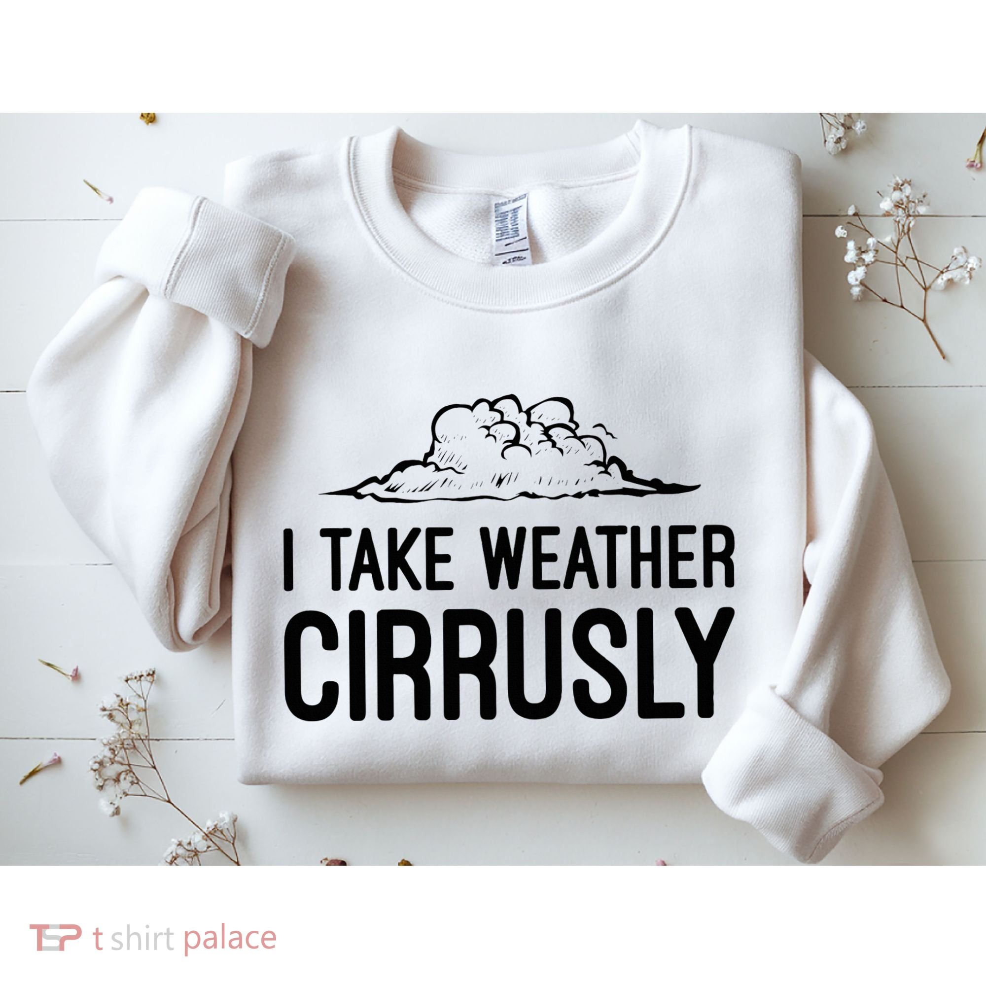 Meteorologist Gift Weather Meteorology Sweatshirt