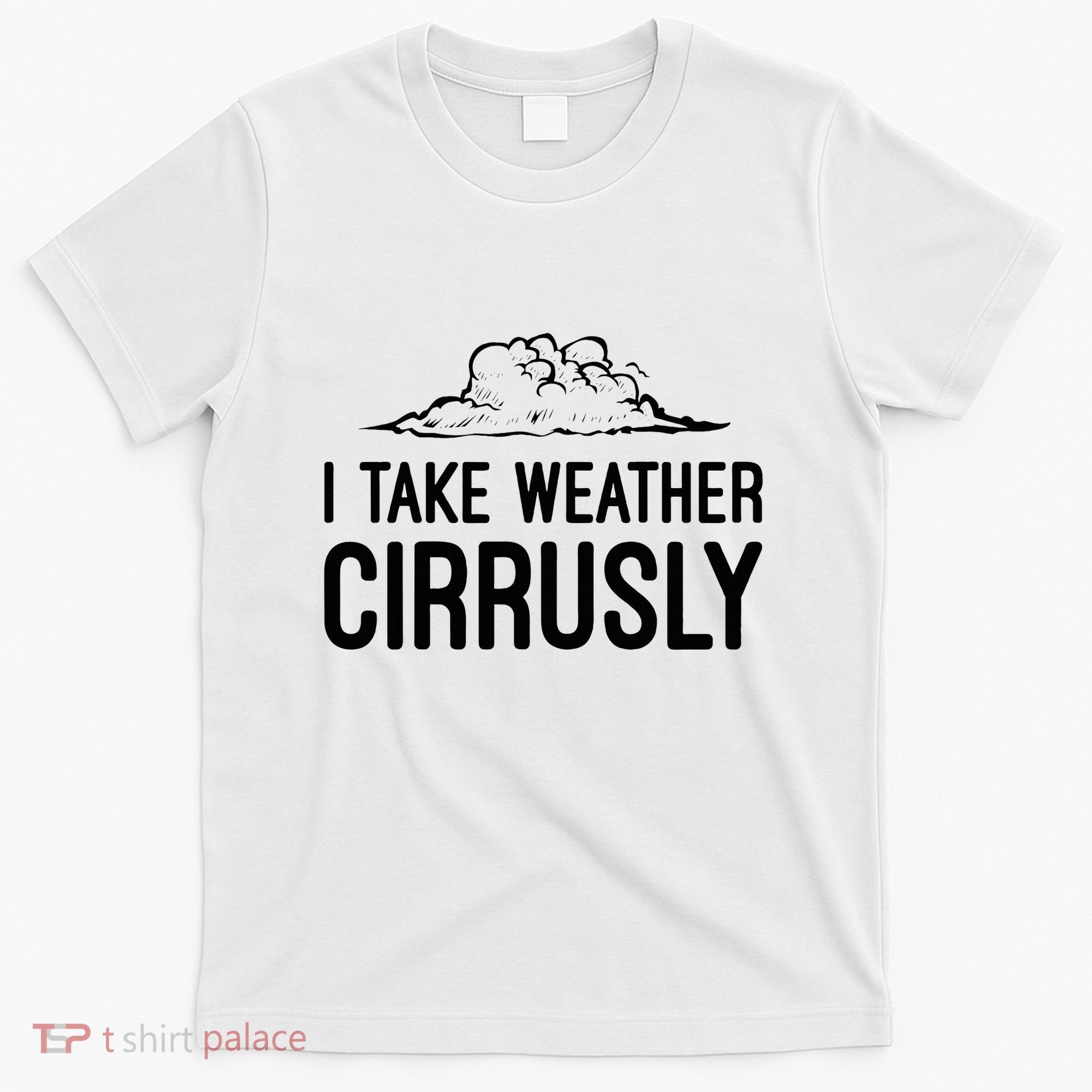 Meteorologist Gift Weather Meteorology T-Shirt