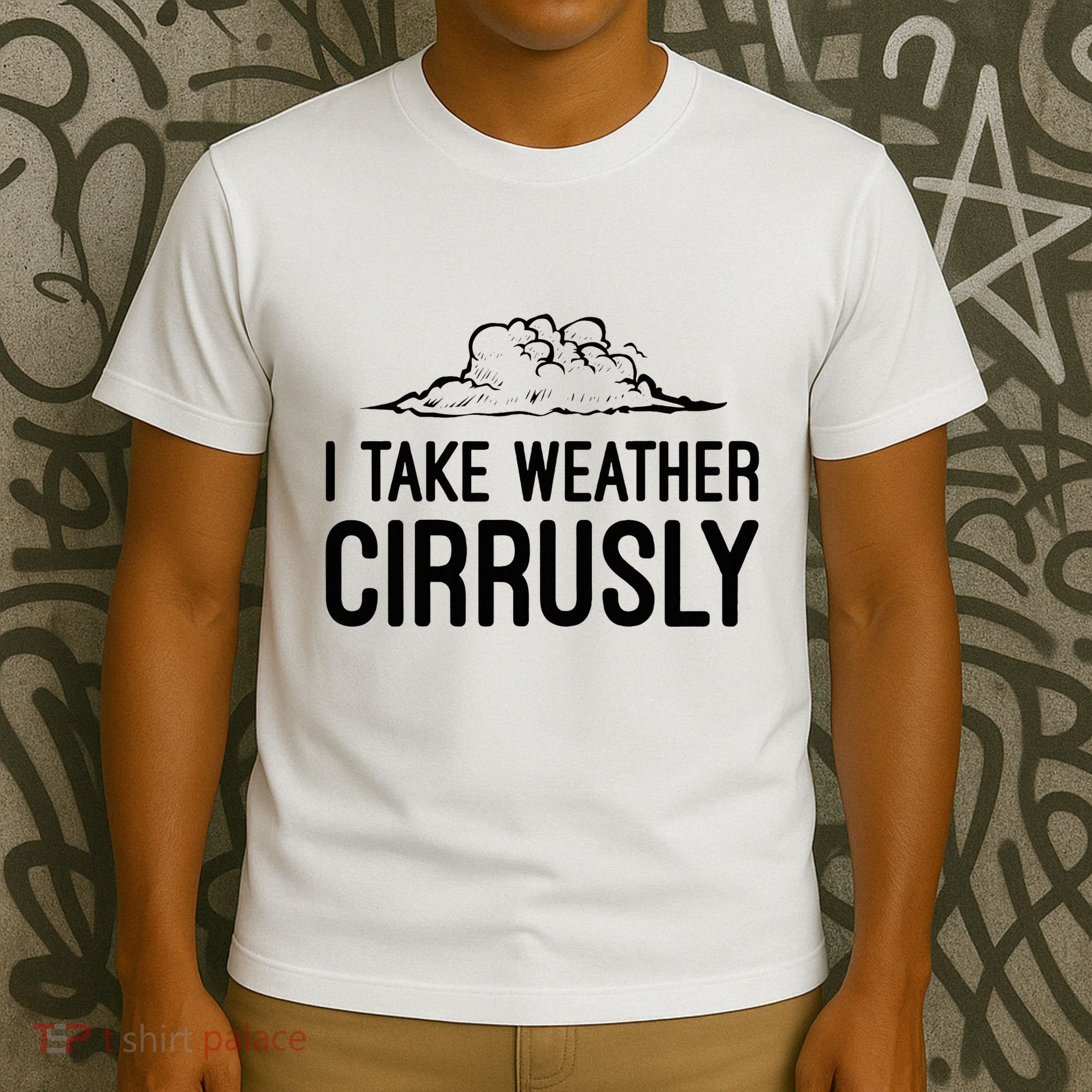 Meteorologist Gift Weather Meteorology T-Shirt