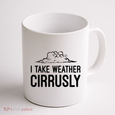 Meteorologist Gift Weather Meteorology Coffee Mug back