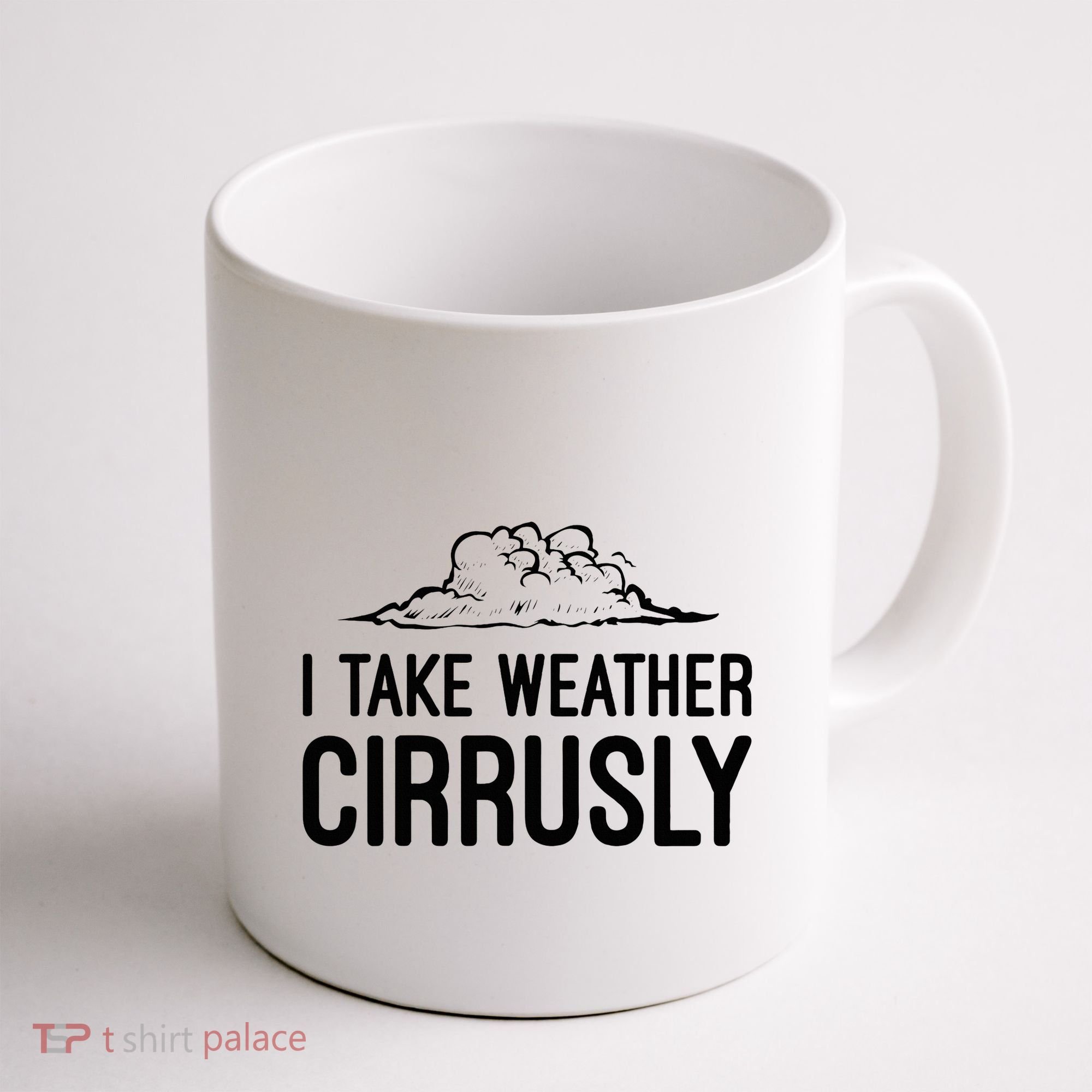 Meteorologist Gift Weather Meteorology Coffee Mug