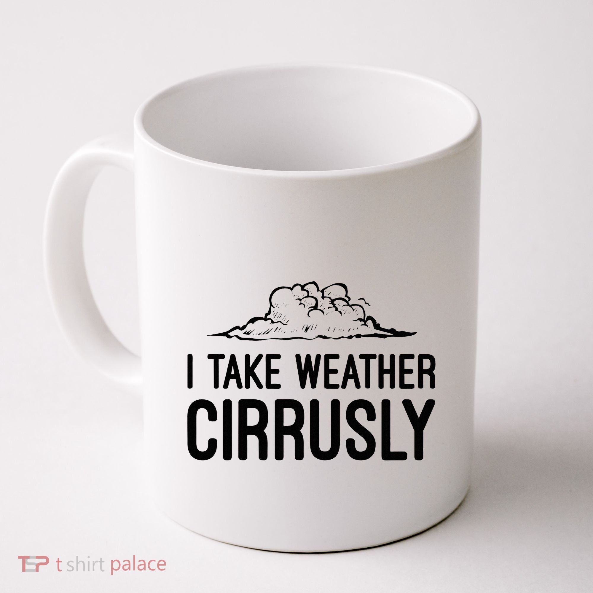 Meteorologist Gift Weather Meteorology Coffee Mug