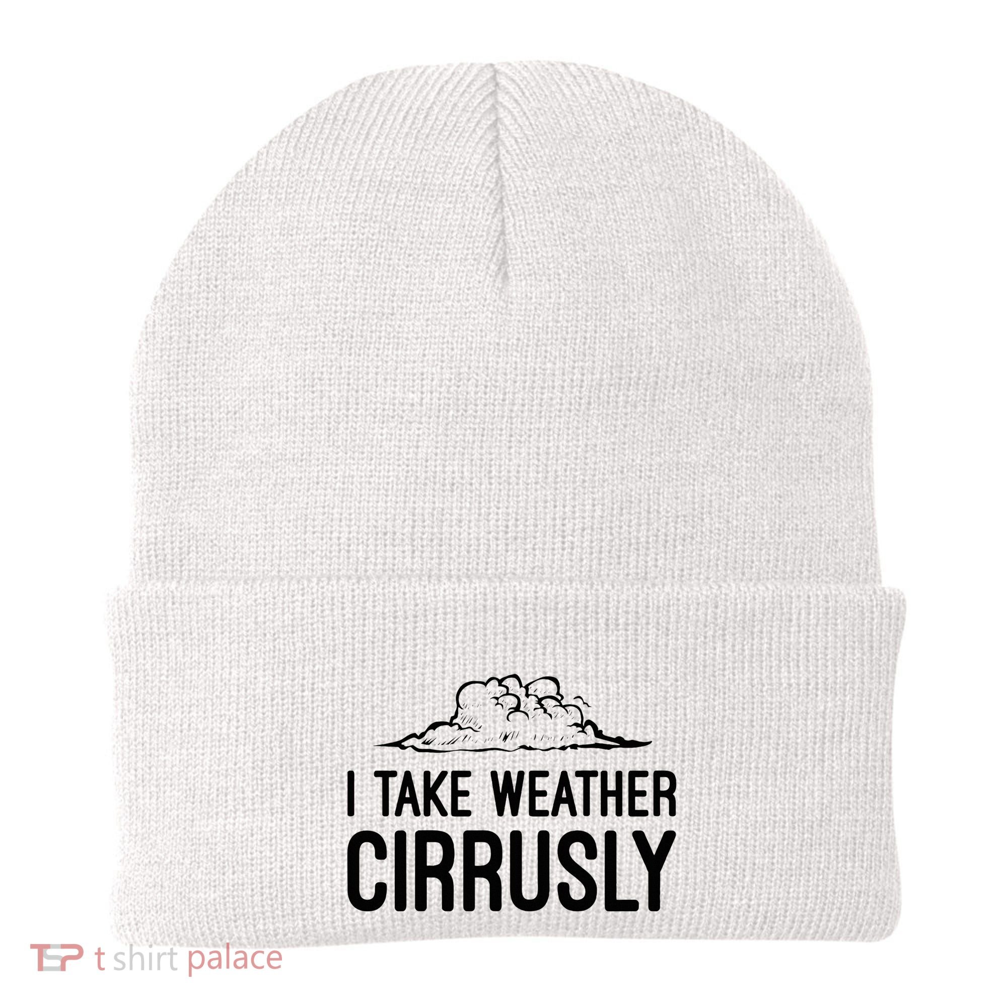 Meteorologist Gift Weather Meteorology Beanie
