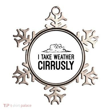 Meteorologist Gift Weather Meteorology Ornament