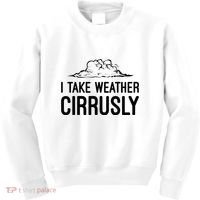 Meteorologist Gift Weather Meteorology Kids Sweatshirt thumb 0