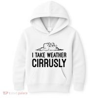 Meteorologist Gift Weather Meteorology Kids Hoodie thumb 0