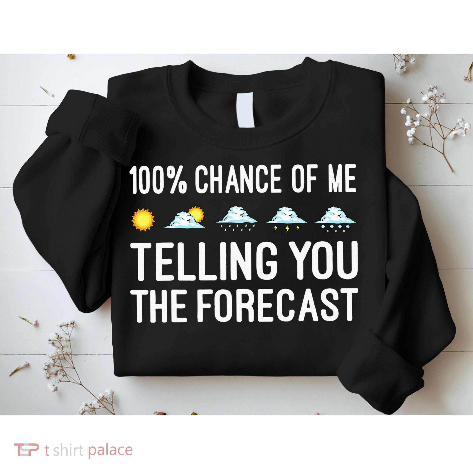 Meteorology Gift Weather Enthusiasts Cool Weatherman Sweatshirt
