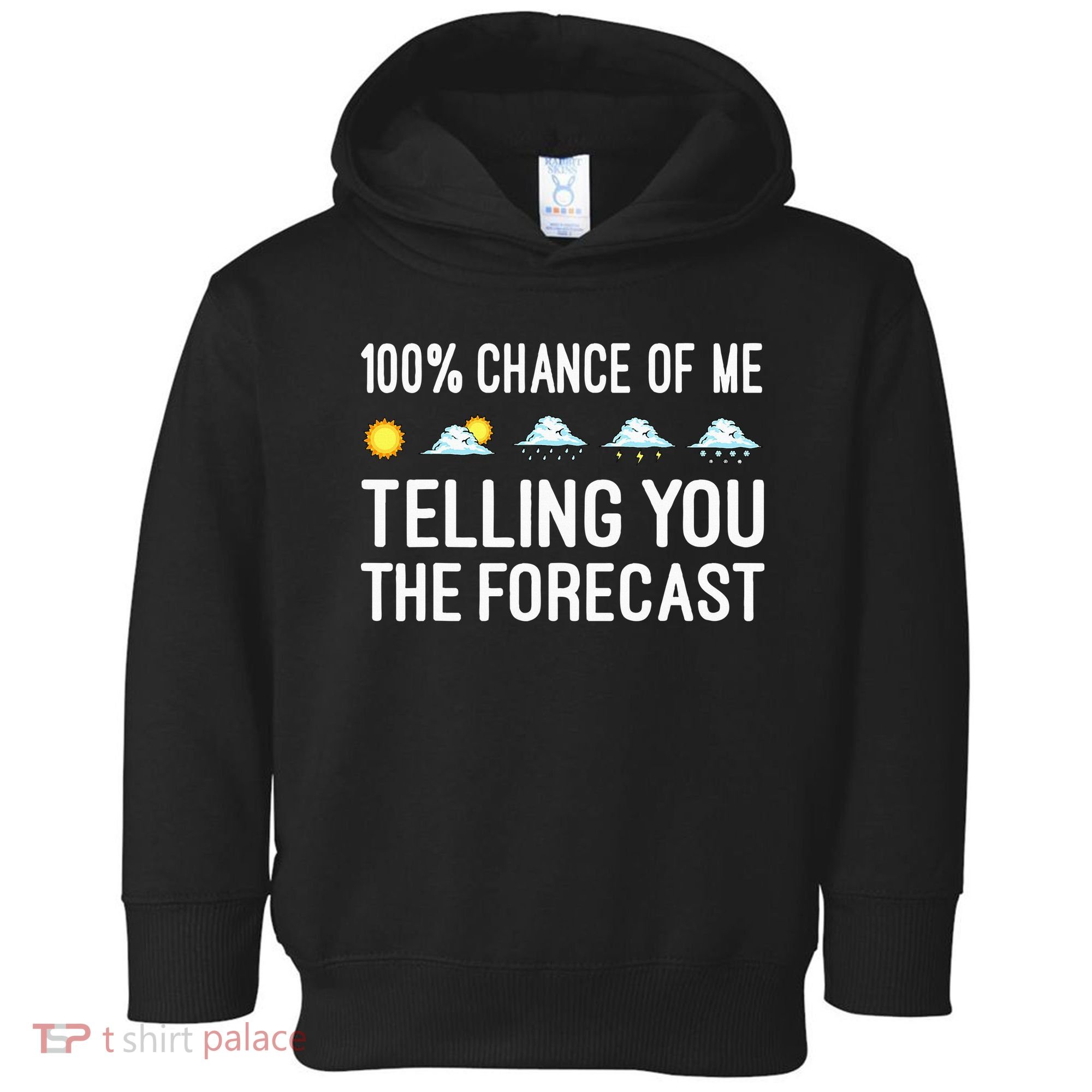 Meteorology Gift Weather Enthusiasts Cool Weatherman Toddler Hoodie