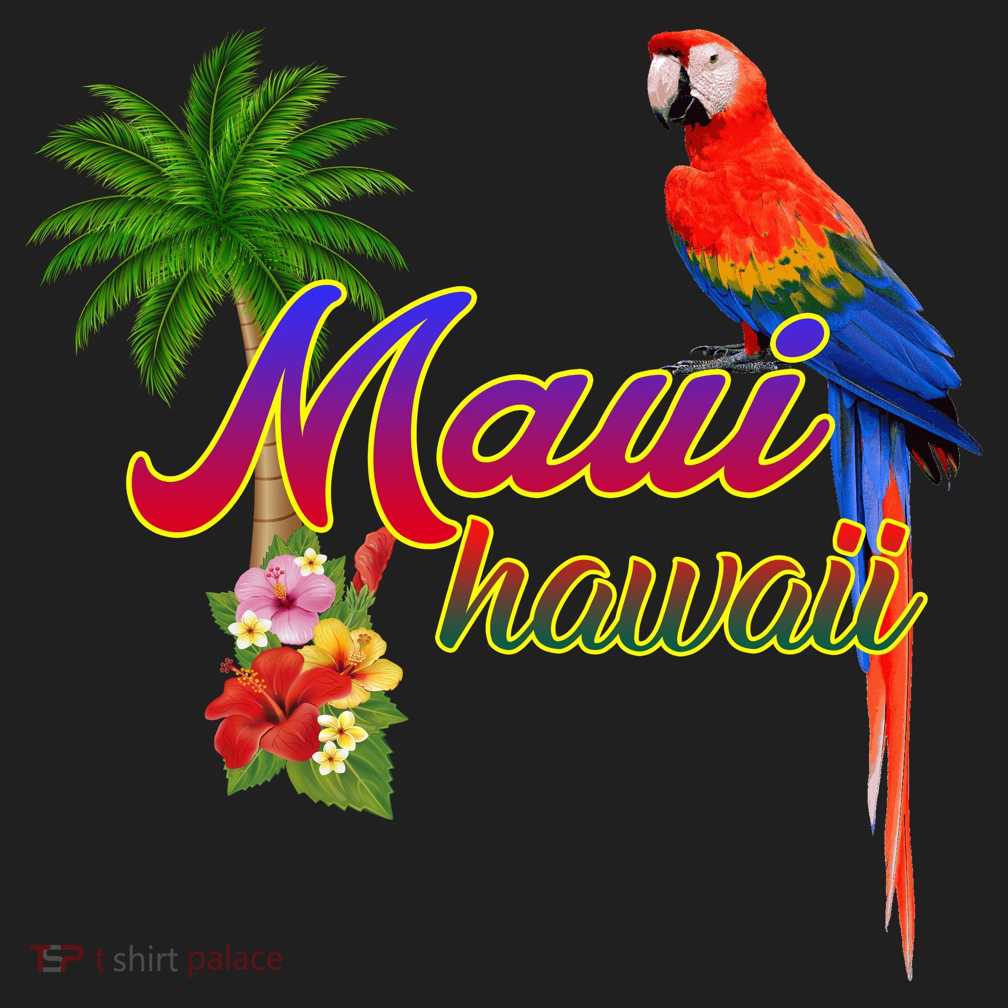 Maui Hawaii Beach Aloha Great Gift Beanie