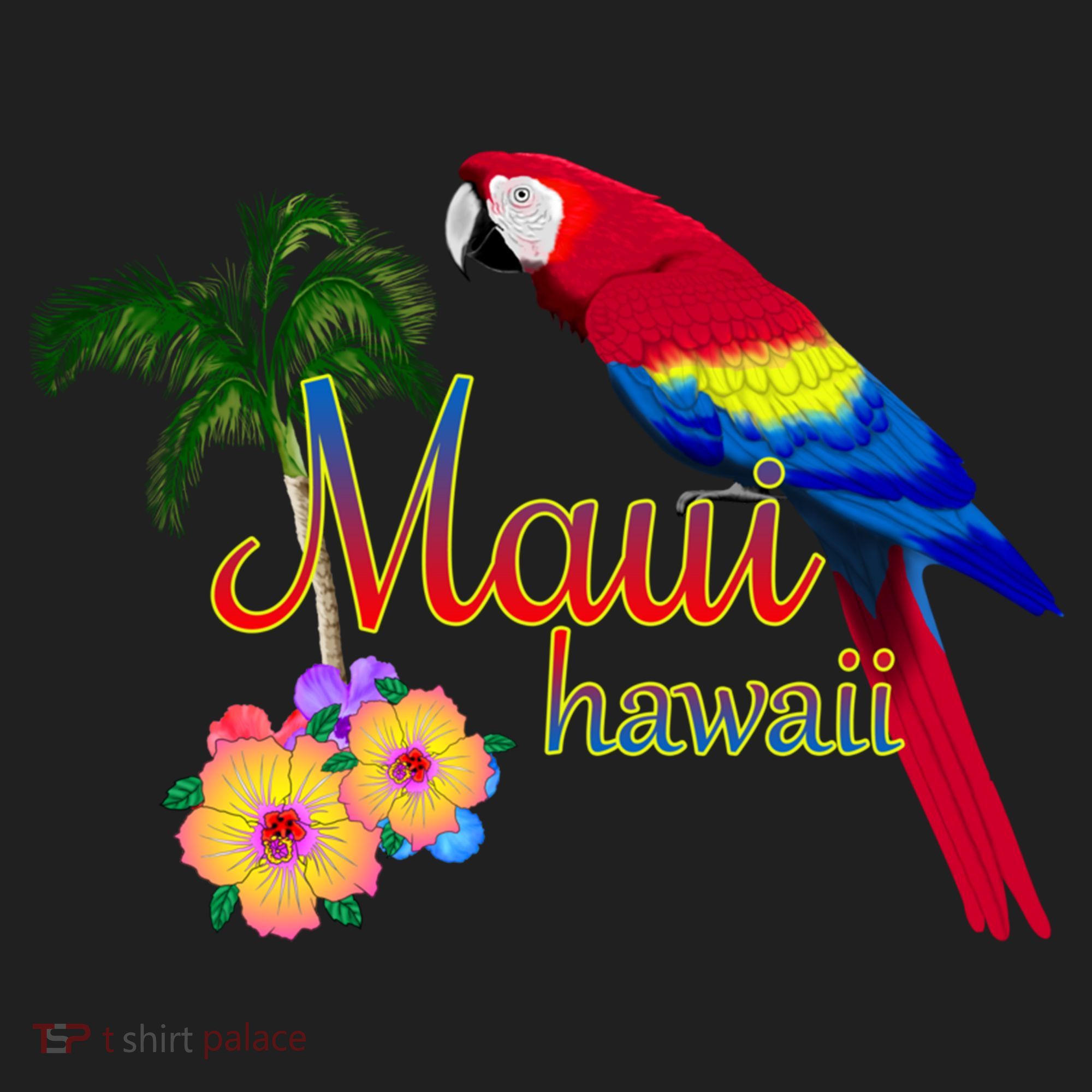 Maui Hawaii Beach Aloha Great Gift Beanie