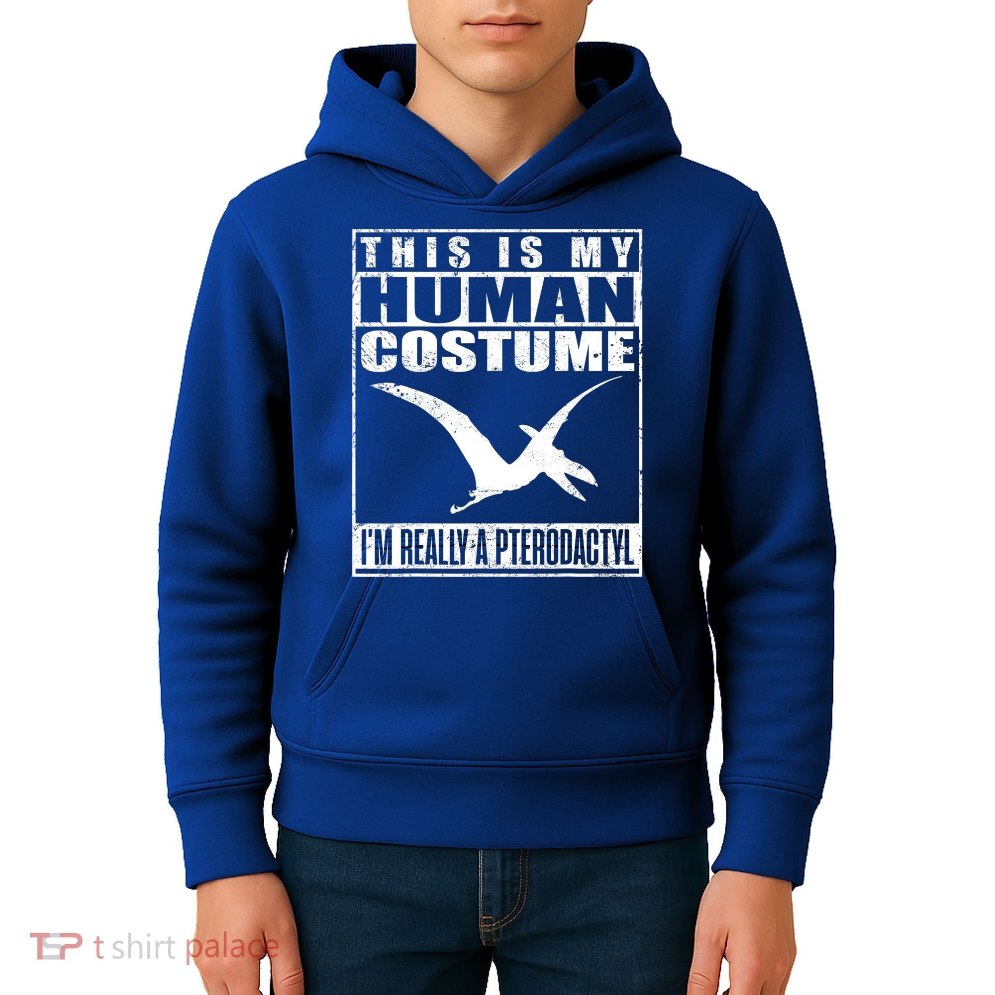 My Human Costume I'm A Pterodactyl Halloween Dinosaur Gift Kids Hoodie