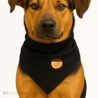 My Heart Has Changed My Soul Has Changed Front & Back USA-Made Doggie Bandana thumb 2