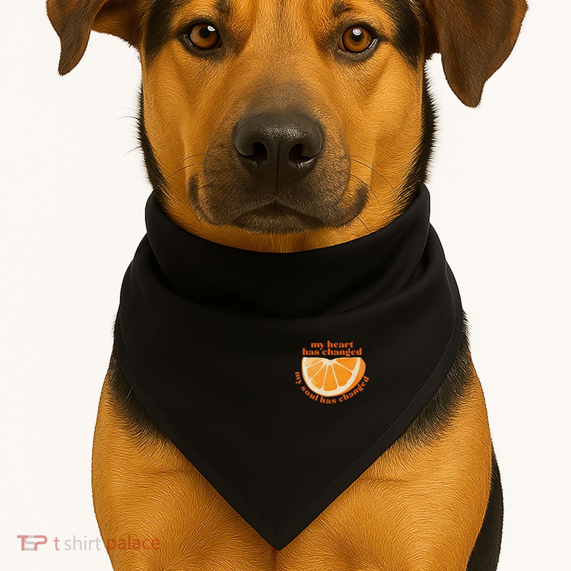 My Heart Has Changed My Soul Has Changed Front & Back USA-Made Doggie Bandana