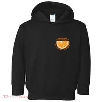 My Heart Has Changed My Soul Has Changed Front & Back Toddler Hoodie thumb 0