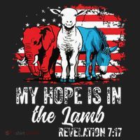 My Hope Is In The Lamb Funny Scripture Elephant Donkey Us Women's Sweatshirt thumb 2
