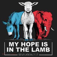 My Hope Is In The Lamb Hat thumb 2
