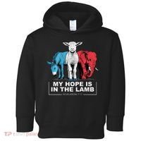 My Hope Is In The Lamb Toddler Hoodie thumb 0
