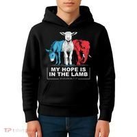 My Hope Is In The Lamb Kids Hoodie thumb 4