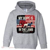 My Hope Is In The Lamb Jesus 2024 Election Toddler Hoodie thumb 0
