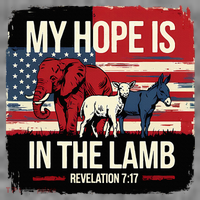 My Hope Is In The Lamb Jesus 2024 Election Toddler Hoodie thumb 2