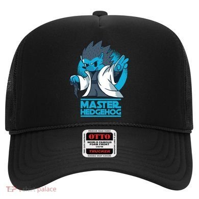 Master Hedgehog Hat